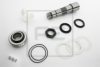 PE Automotive 251.005-10A Repair Kit, kingpin